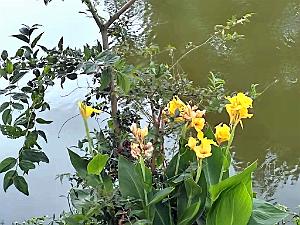 KUNMING - Parc Daguan - 85